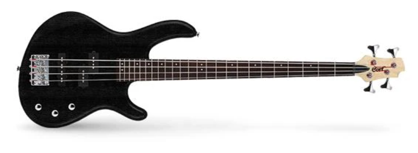 Standard Bass Guitar